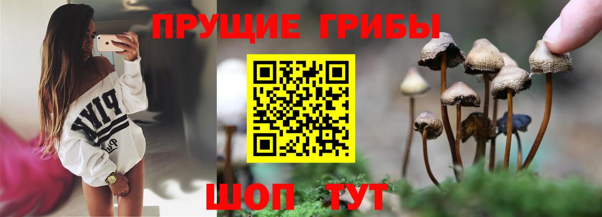 Новотроицк  Псилоцибиновые грибы мицелий  Вход с VPN 